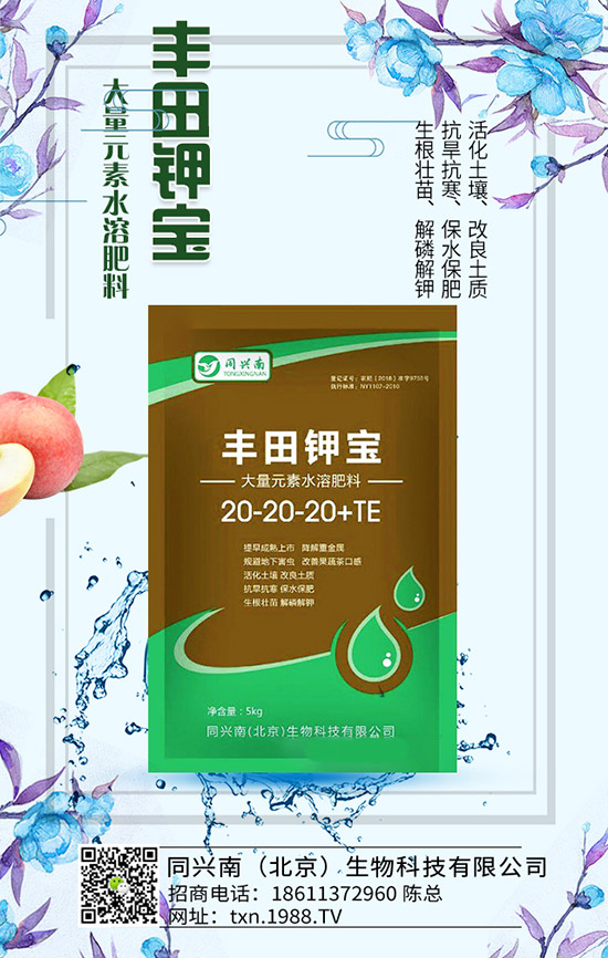 豌豆什么時候種,豌豆種植時間及種植要點!