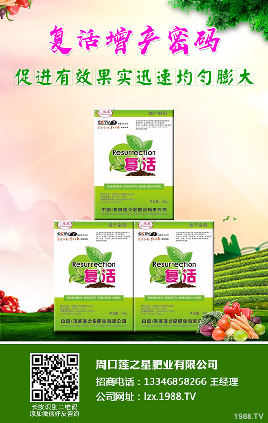 �n�����ʩ�ʣ��n����ʲô���Ϻ���