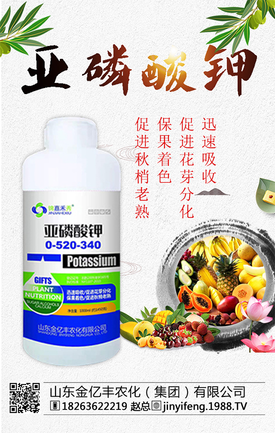 ��(zh��n)�Ժ�����������ɽ�|���|�S�ٺ�1988.TV���A2020��