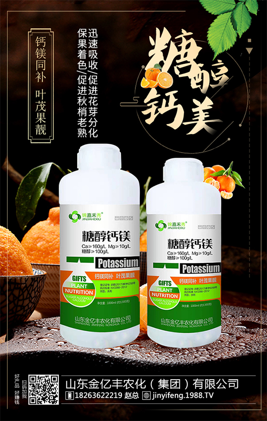 ��(zh��n)�Ժ�����������ɽ�|���|�S�ٺ�1988.TV���A2020��