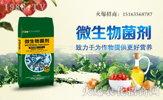 ���r(n��ng)���W(w��ng)ϲӭ�����ѣ��r(n��ng)��һ���ﺞ�s���v1988.TV��