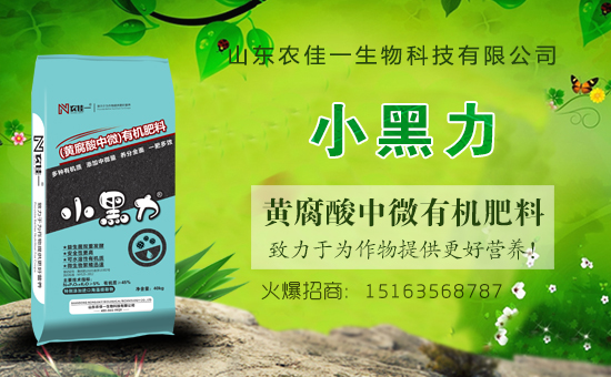 ���r(n��ng)���W(w��ng)ϲӭ���������r(n��ng)��һ���ﺞ�s���v1988.TV��