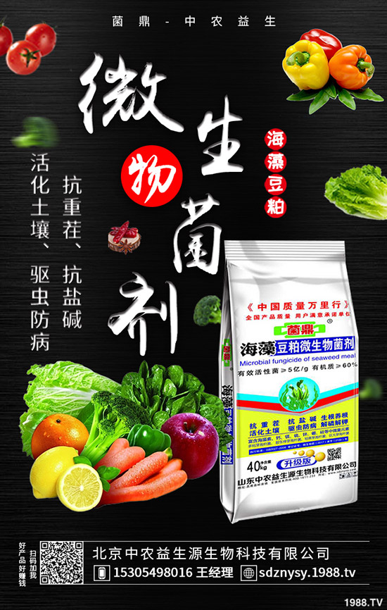 春季用肥基本結束,最新鉀肥價格走勢預測2020-4-13