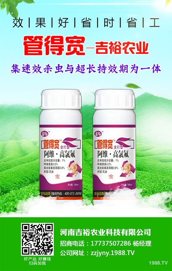 �����������x�������������������g(sh��)����