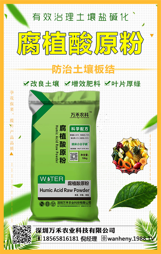 �����f���r(n��ng)�I(y��)�ٶȔy��1988.TV������W(w��ng)�j(lu��)�������E��