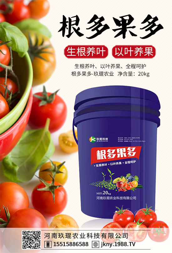 大棚韭菜該怎么種植?韭菜大棚管理技術(shù)要點