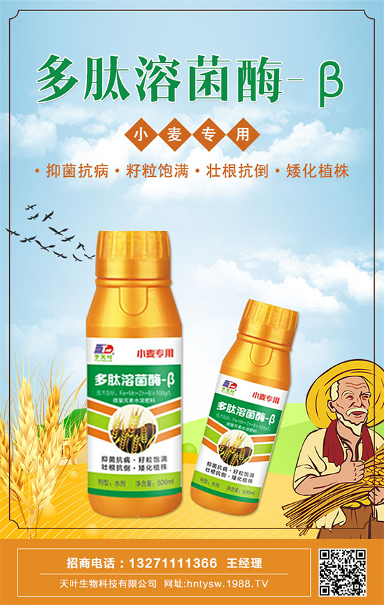 ���~�����ٺ�1988.TV���y�ִ����������E��