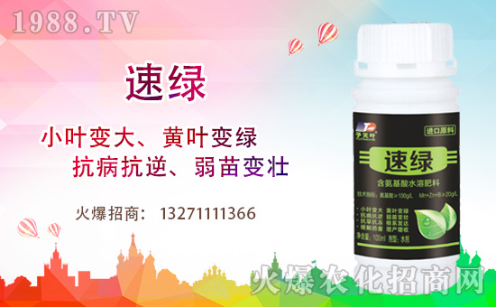 ���~�����ٺ�1988.TV���y�ִ����������E��