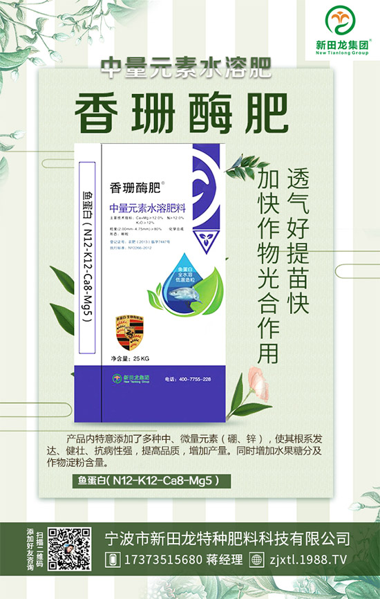 �����P(gu��n)ϵ�����A���������m(x��)�s1988.TV�����\�����°l(f��)չ��