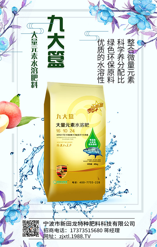 �����P(gu��n)ϵ�����A���������m(x��)�s1988.TV�����\�����°l(f��)չ��