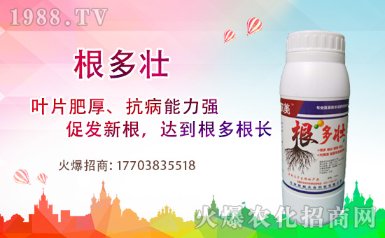 1988.TVϲӭ�������������³��_���W(w��ng)�j���������̣�