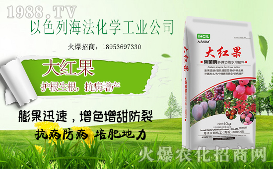 以色列海法再簽火爆農(nóng)化網(wǎng),重拳出擊農(nóng)資網(wǎng)絡(luò)市場(chǎng)!