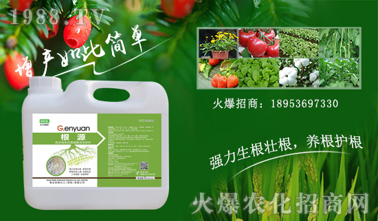 以色列海法再簽火爆農(nóng)化網(wǎng),重拳出擊農(nóng)資網(wǎng)絡(luò)市場(chǎng)!
