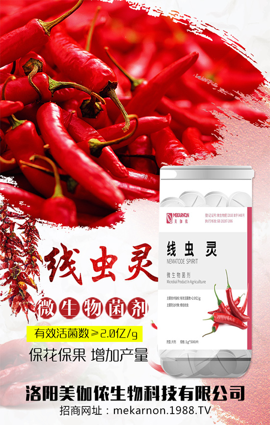 ��(zh��n)�Ժ�������������٤�z�����ٺ��r(n��ng)���W(w��ng)���A2020��