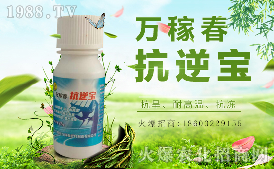 �������f(w��n)�ڴ���(qi��ng)��(sh��)���v���r(n��ng)�����̾W(w��ng)����(sh��)�F(xi��n)��I(y��)�°l(f��)չ��