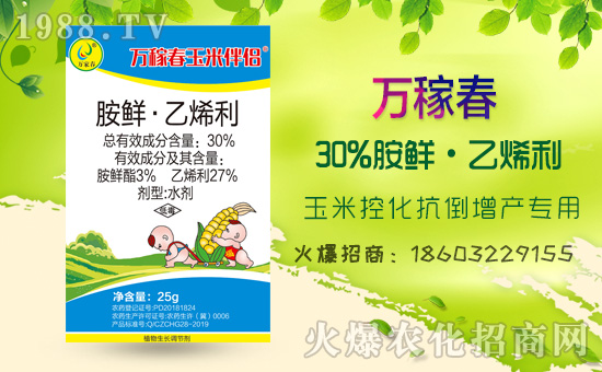 �������f(w��n)�ڴ���(qi��ng)��(sh��)���v���r(n��ng)�����̾W(w��ng)����(sh��)�F(xi��n)��I(y��)�°l(f��)չ��