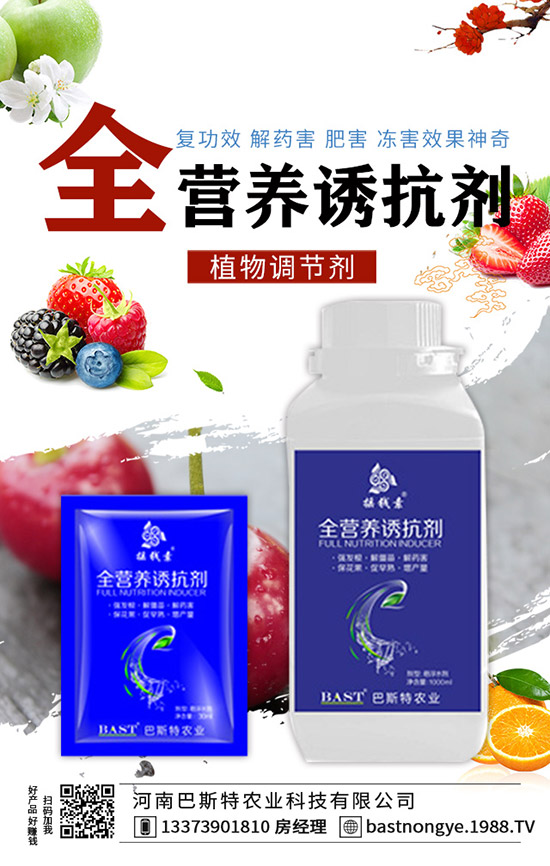 �Y(ji��)����{(l��n)��ôʩ�����Y(ji��)����{(l��n)��ʩ�ʼ��g(sh��)��