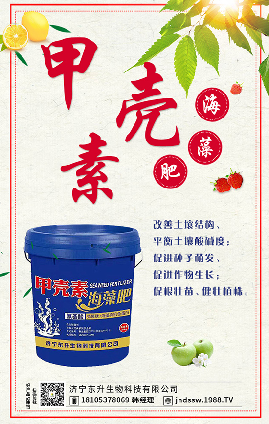 茴香什么時間種植好?茴香的高產(chǎn)種植技術(shù)!