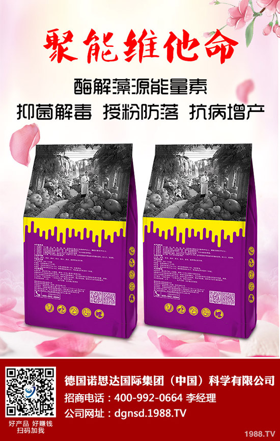 密本南瓜怎么種植?密本南瓜的栽培技術(shù)要點與方法!