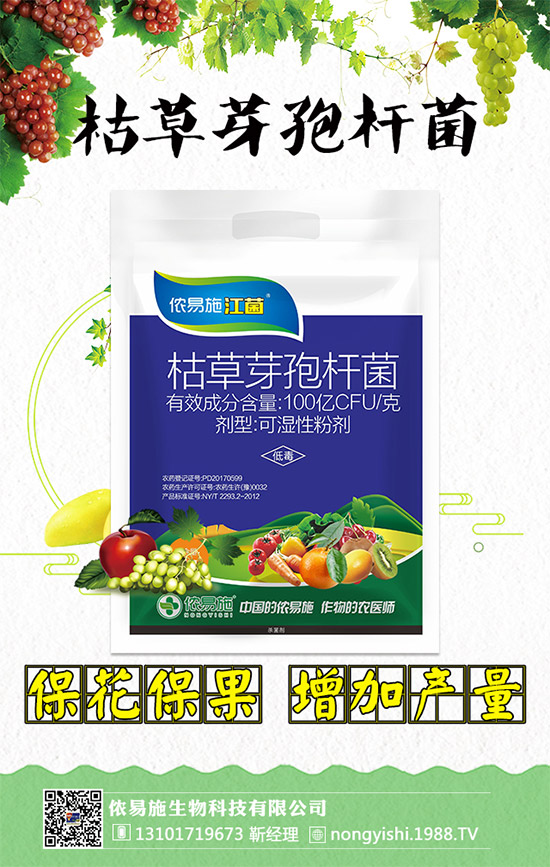 �������x���������z��ʩ�ٺ�1988.TV�����󌍬F(xi��n)�v�w����