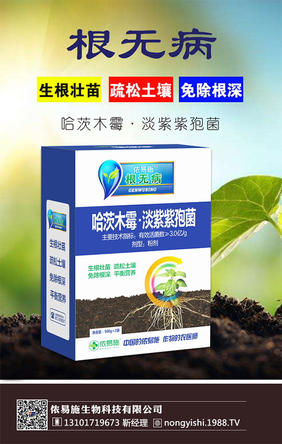 �������x���������z��ʩ�ٺ�1988.TV�����󌍬F(xi��n)�v�w����