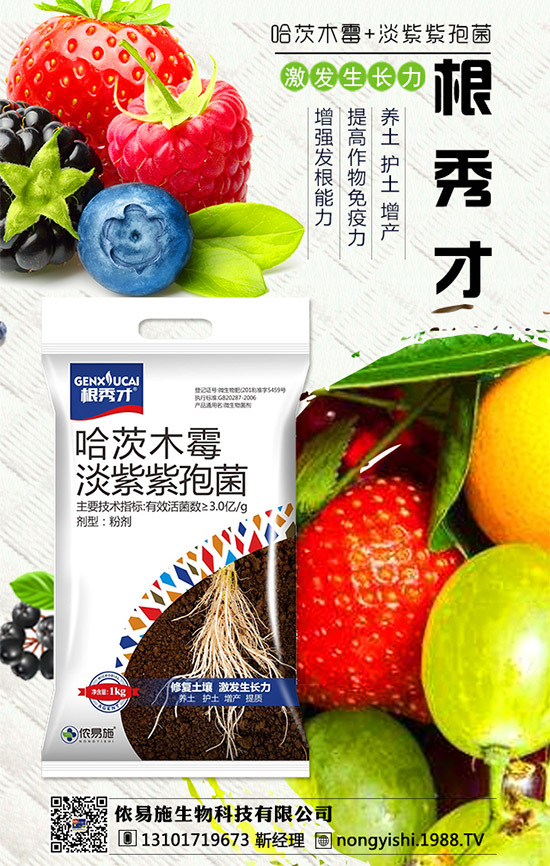 �������x���������z��ʩ�ٺ�1988.TV�����󌍬F(xi��n)�v�w����