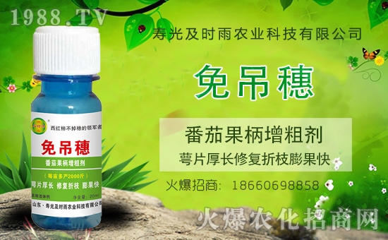 �r(n��ng)���W(w��ng)ϲӭ�����ѣ��۹⼰�r(sh��)��ɹ����s1988.TV��