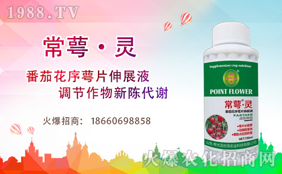 �r(n��ng)���W(w��ng)ϲӭ���������۹⼰�r(sh��)��ɹ����s1988.TV��