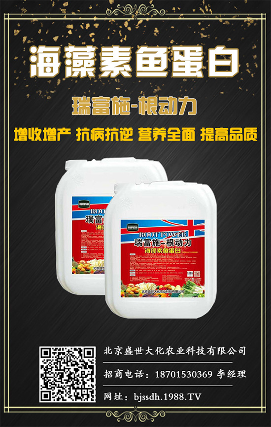 木瓜多結(jié)瓜有什么措施?木瓜常見(jiàn)病害及防治措施!