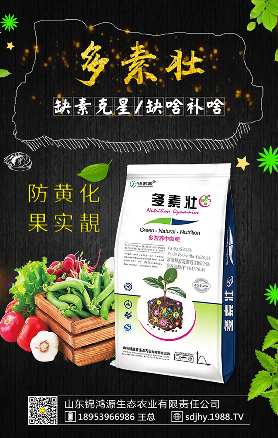 火龍果育苗方法有哪些，火龍果育苗要點及苗期管理！