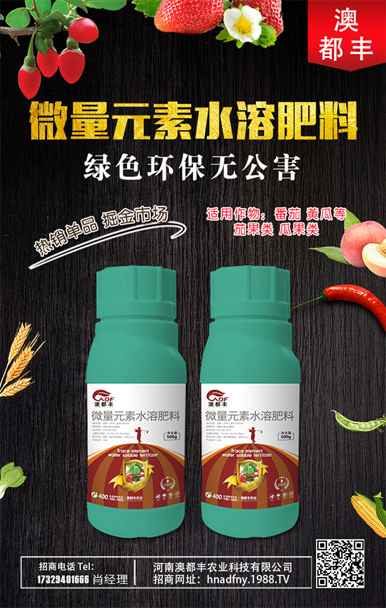 甜瓜什么時間種植好?甜瓜種植技術(shù)要點(diǎn)!