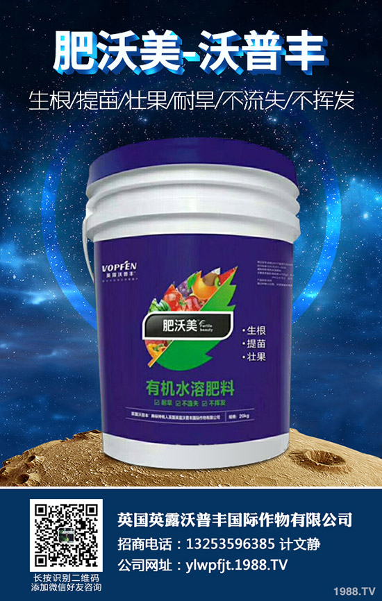 2020年沃柑價(jià)格多少錢(qián)一斤?沃柑種植前景如何?