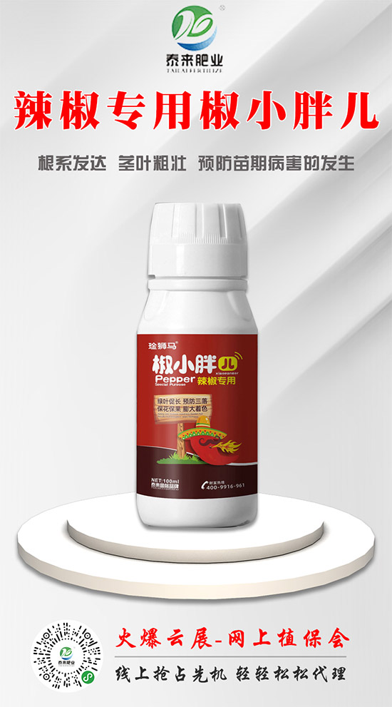 泰來國際肥業(yè)再簽火爆農(nóng)化網(wǎng),力求實(shí)現(xiàn)騰飛夢!