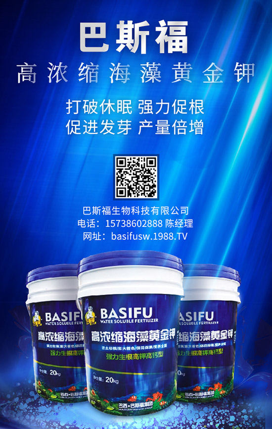 ����ʩ�ʵĸ��ѕr�g��ɶ�r���� զ��ʩЧ������