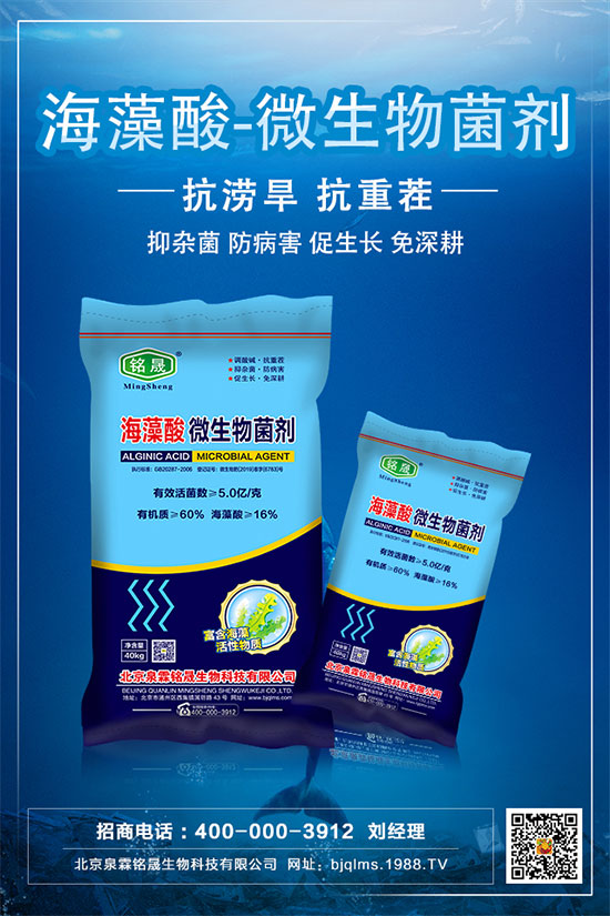鉀肥市場保持穩(wěn)定，2020.05.09鉀肥價格行情走勢分析！