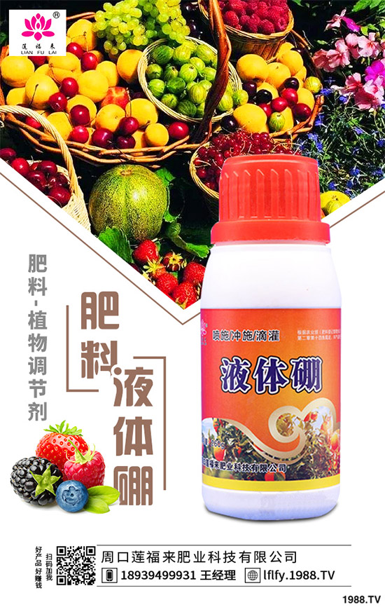 QЩ湦ЧNֲQܒX2020QӷNֲǰ