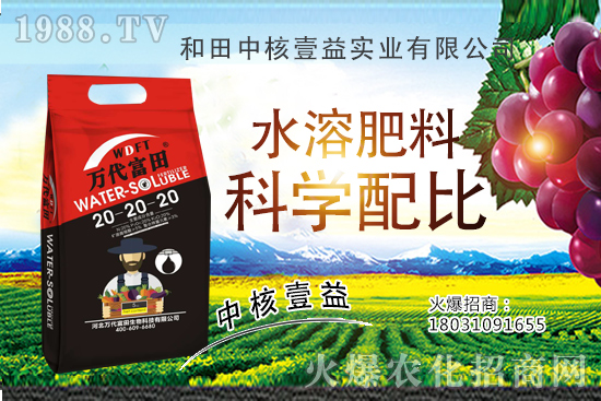 2020年種植哪些果樹(shù)更賺錢(qián),果樹(shù)品種選擇注意事項(xiàng)!