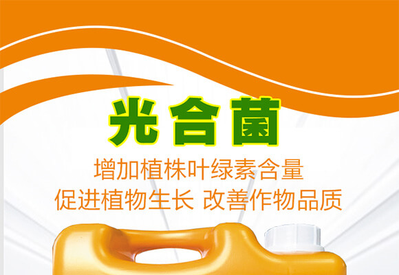 ��ϼ�(x��)������-��Ͼ�-�A̫¡-���r(n��ng)��_01