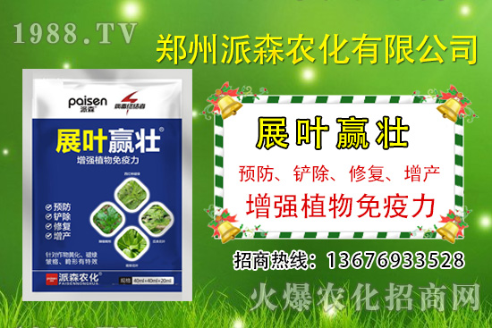 韭菜什么時候播種?韭菜市場前景如何?(種植成本及利潤分析)
