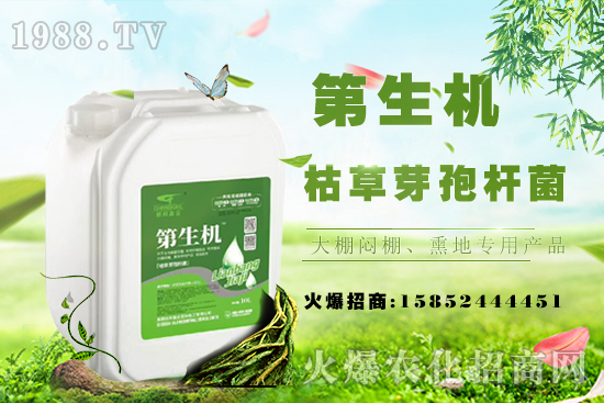 桃樹(shù)嫁接常用工具,桃樹(shù)嫁接后注意事項(xiàng)!