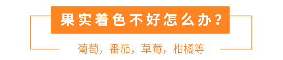 河南騰豐農(nóng)業(yè)科技有限公司_13