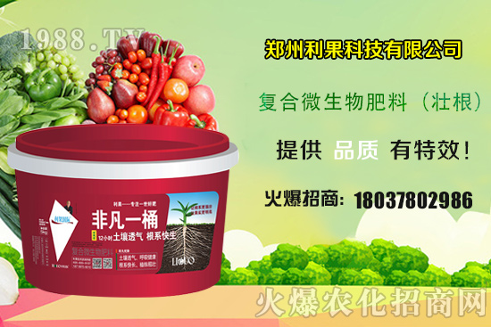2020NֲٍX(qin)NֲǰΣһخa(chn)ж