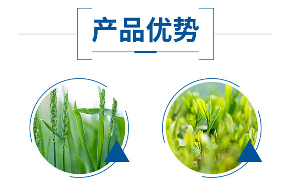 酶解魚(yú)蛋白溶漿(瓶)-優(yōu)米卡-爵利_05