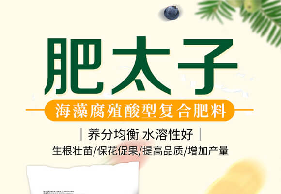 海藻腐殖酸型復(fù)合肥料18-18-18+TE-肥太子_01