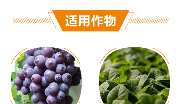 ����ֲ��ˮ�ܷ���-�_(d��)���_(d��)�F-��΢_08