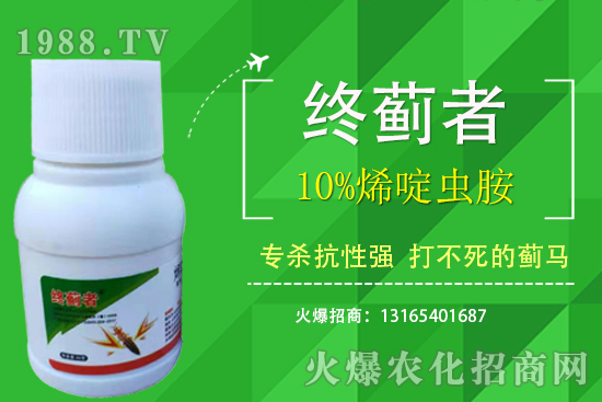 10%ϩxܴERʲôc(din)10%ϩxʹע(xing)