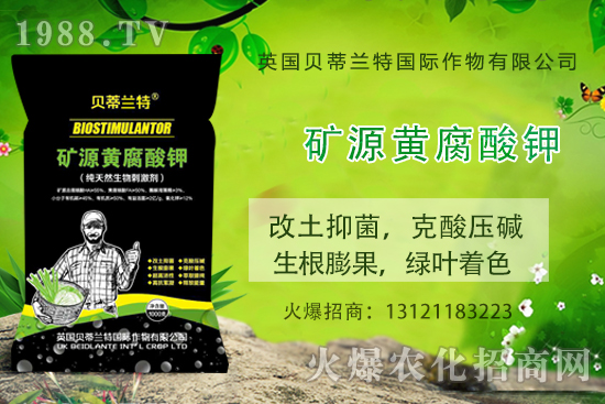 ���ÿ���ô�B(y��ng)�����ÿ��B(y��ng)ֳ������ע�����(xi��ng)��