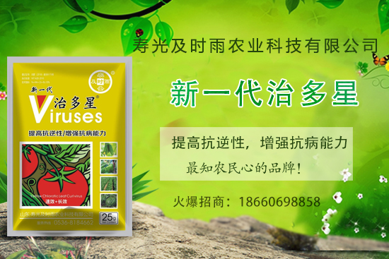 番茄病毒病你知道幾種?怎樣合理防治番茄病毒。(內(nèi)附防治方法)