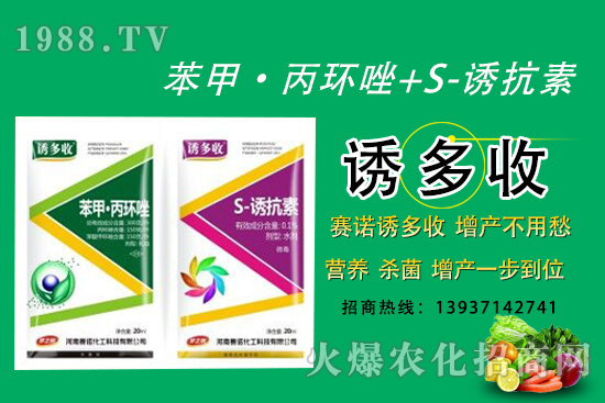 “苯甲·丙環(huán)唑+S-誘抗素”營(yíng)養(yǎng)、殺菌、增產(chǎn)一步到位!