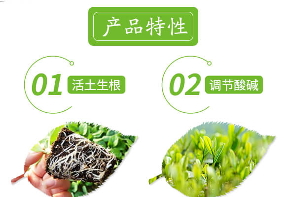 土壤修復(fù)劑-修田-愛農(nóng)斯達_04